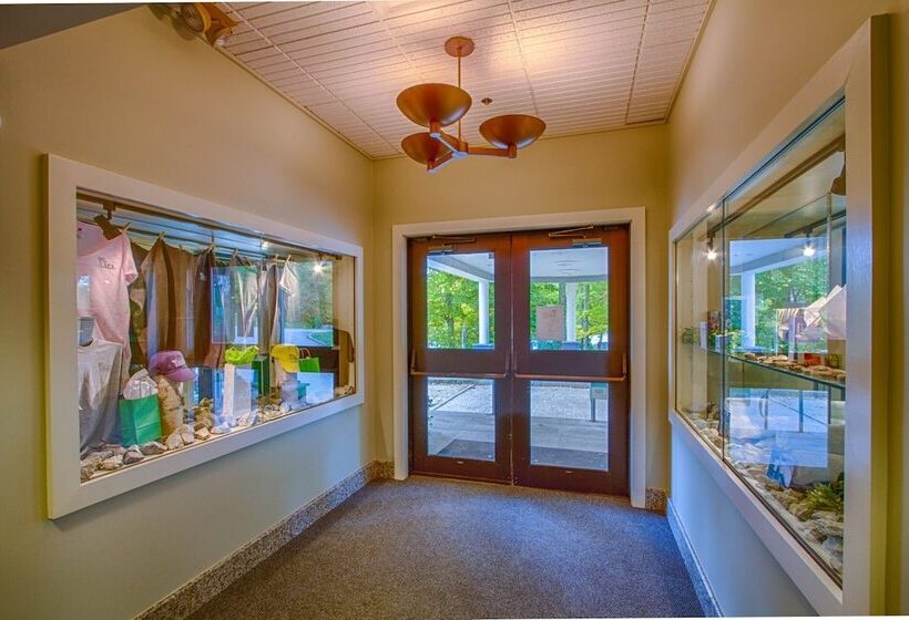 The Woods By Killington Vacation Rentals   2 Bedrooms