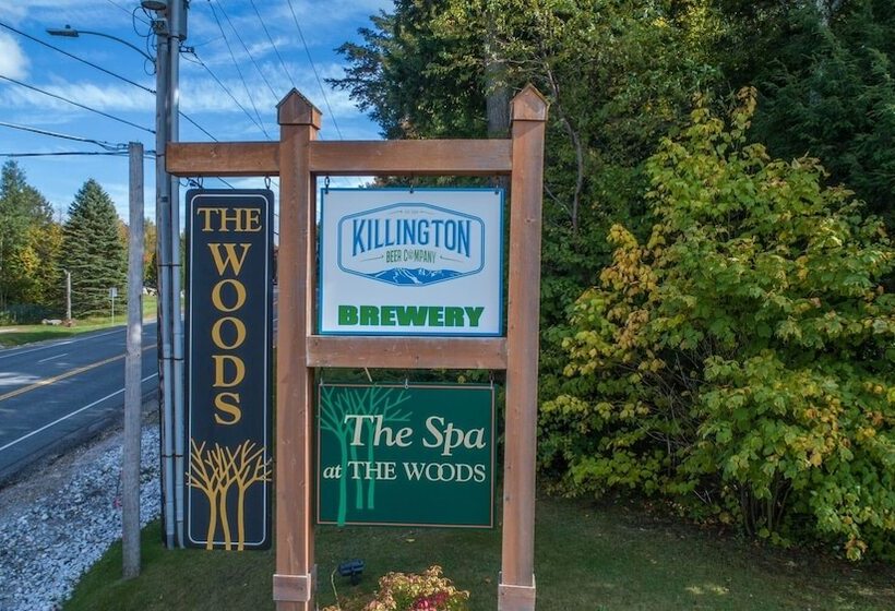 The Woods By Killington Vacation Rentals   2 Bedrooms
