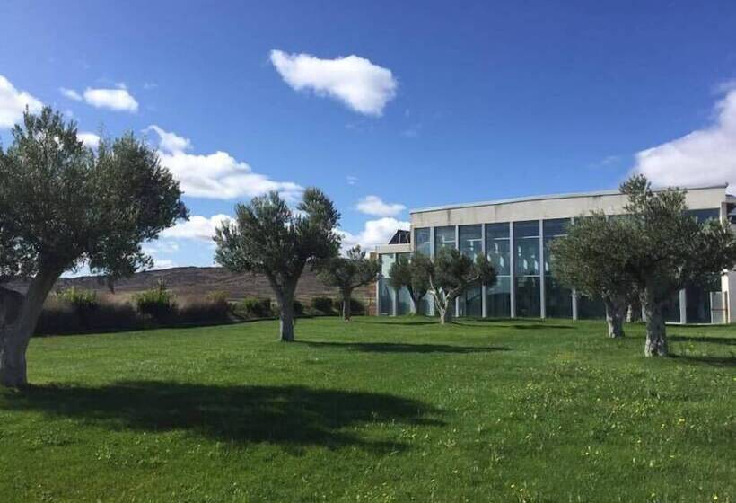 Отель Balneario De Gravalos