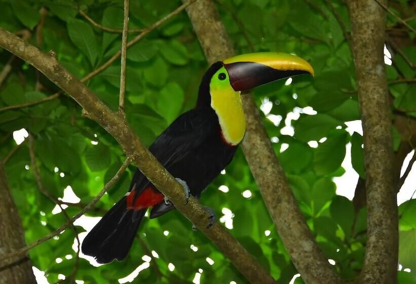 酒店 Beach Break Resort