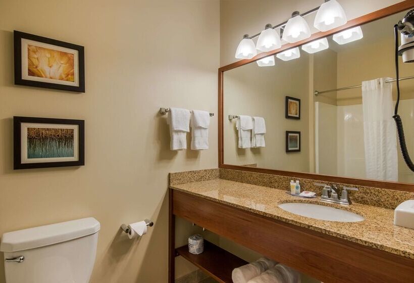 فندق Comfort Inn & Suites Barnesville   Frackville