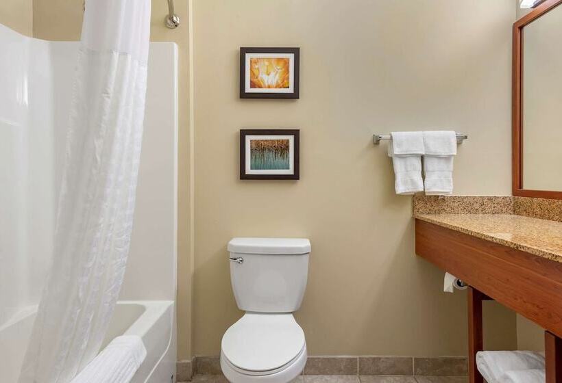 فندق Comfort Inn & Suites Barnesville   Frackville