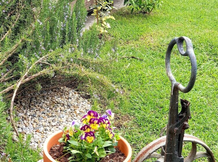 בית מלון כפרי Finca Alcamino