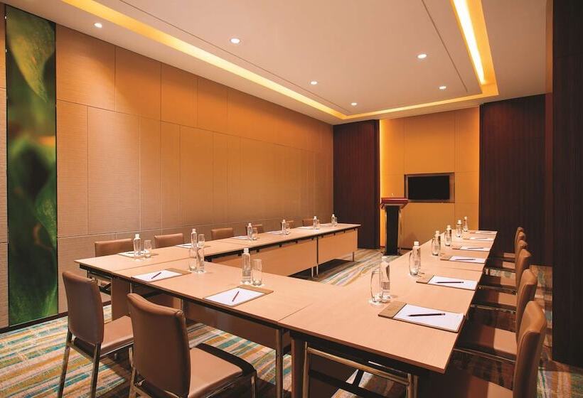 בית מלון כפרי Hilton Garden Inn Lijiang