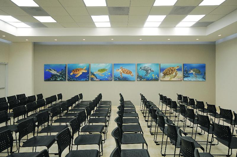 فندق Holiday Inn Express Puerto Vallarta, An Ihg