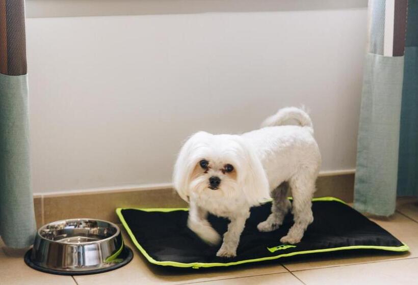 酒店 Hôtel Liberata & Spa