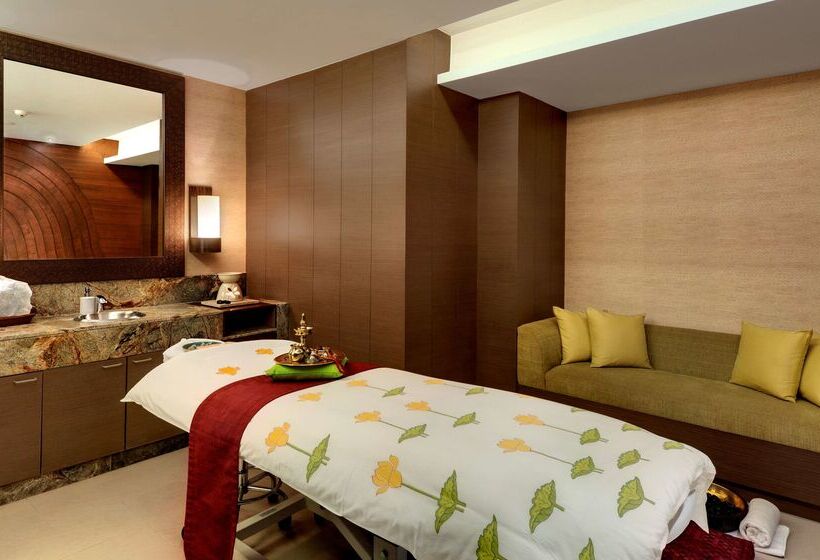 Отель Hyatt Pune
