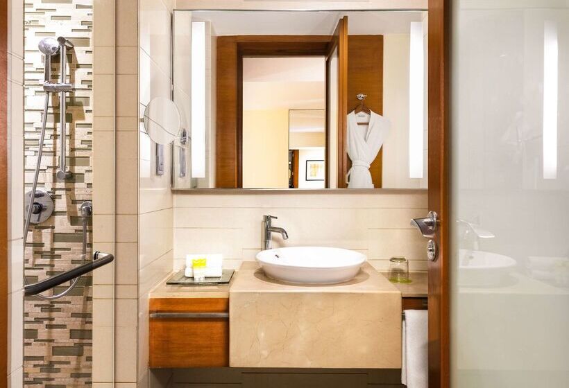 Отель Hyatt Pune