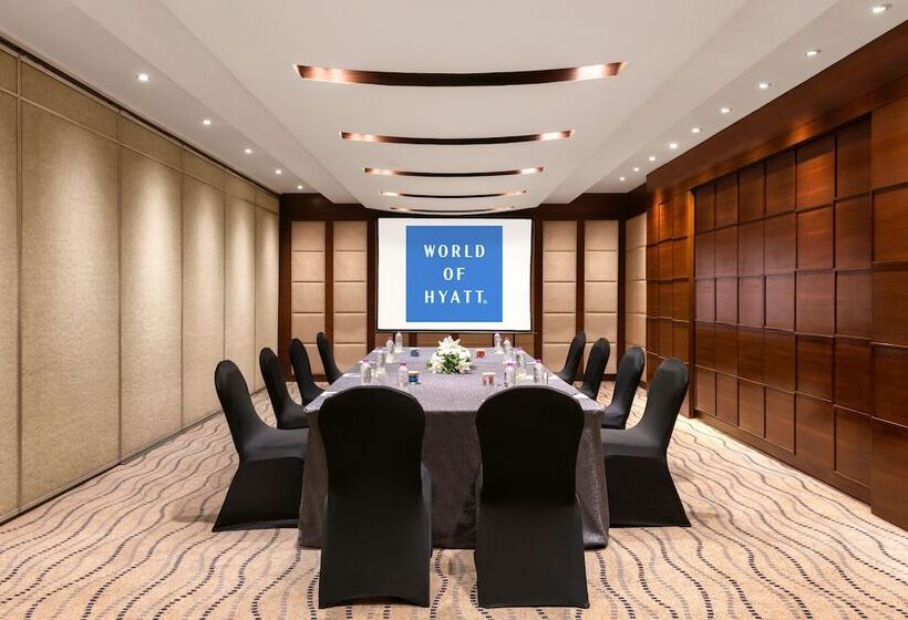 Отель Hyatt Pune