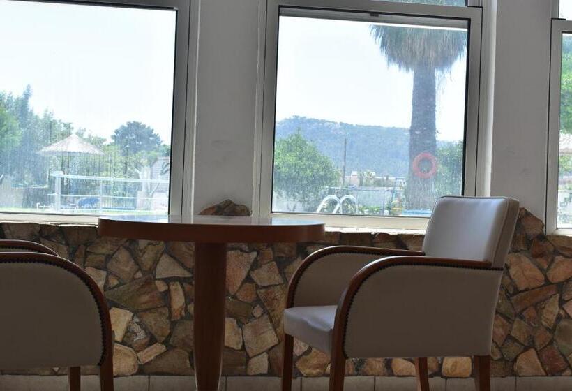 ホテル Manos Pension