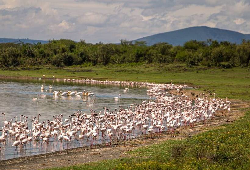 Hotel Mbweha Camp Lake Nakuru