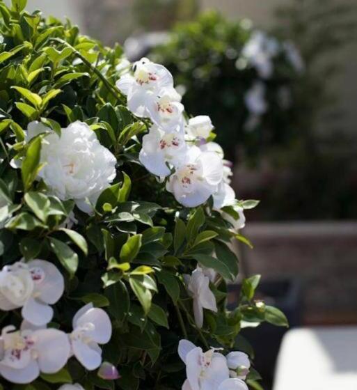 酒店 Restaurante El Corte