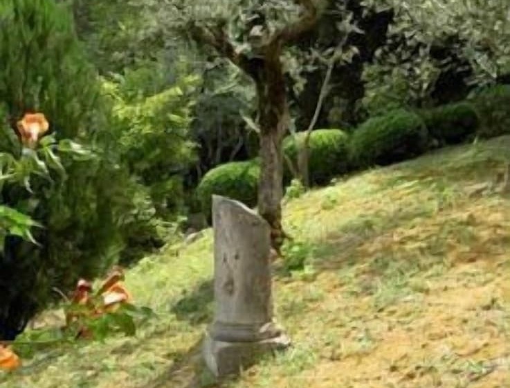 هتل روستایی Villa Cicchi