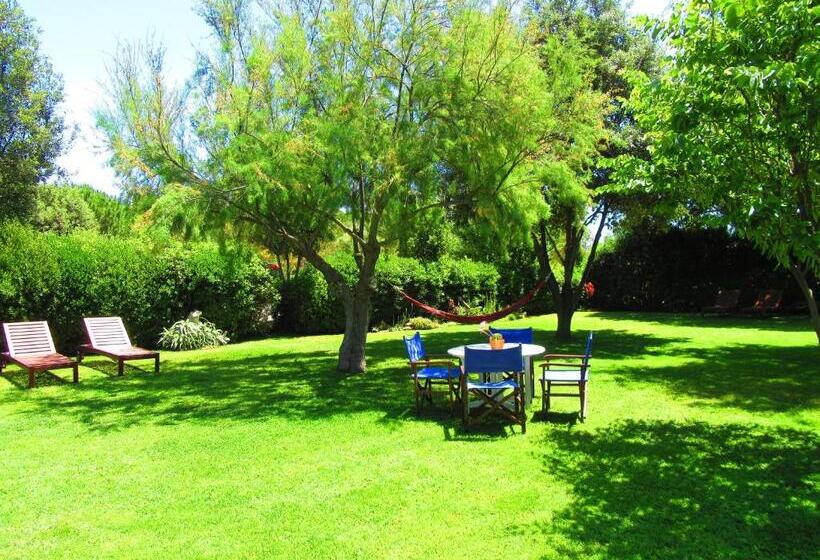 Agriturismo Serignano Alle Rocchette