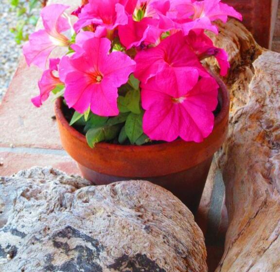 Agriturismo Serignano Alle Rocchette