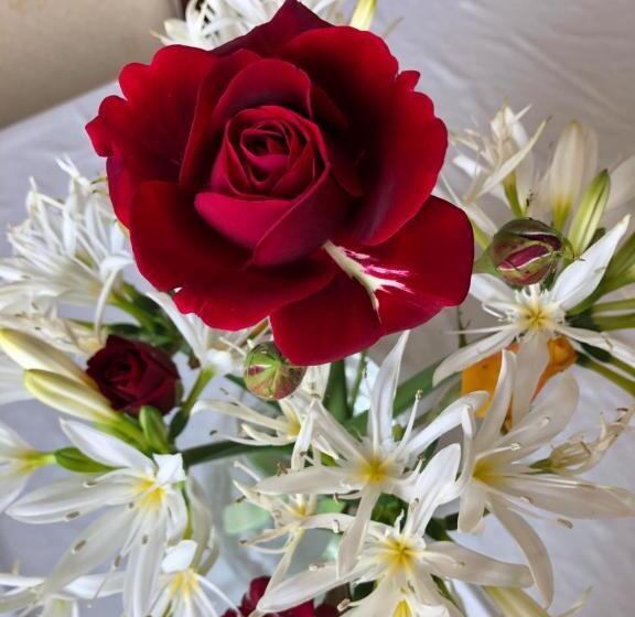 Al Divenire B&b Apartments