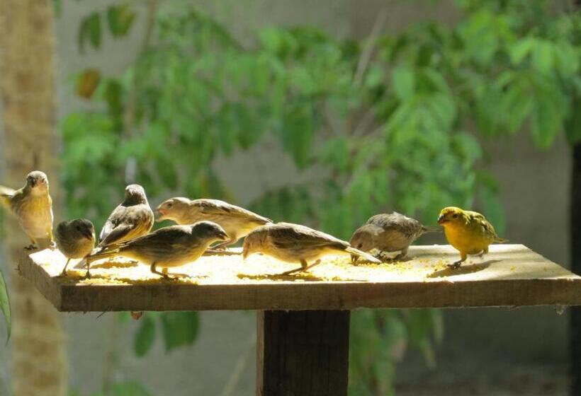 فندق صغير Caraiva Recanto Pousada De Ferias