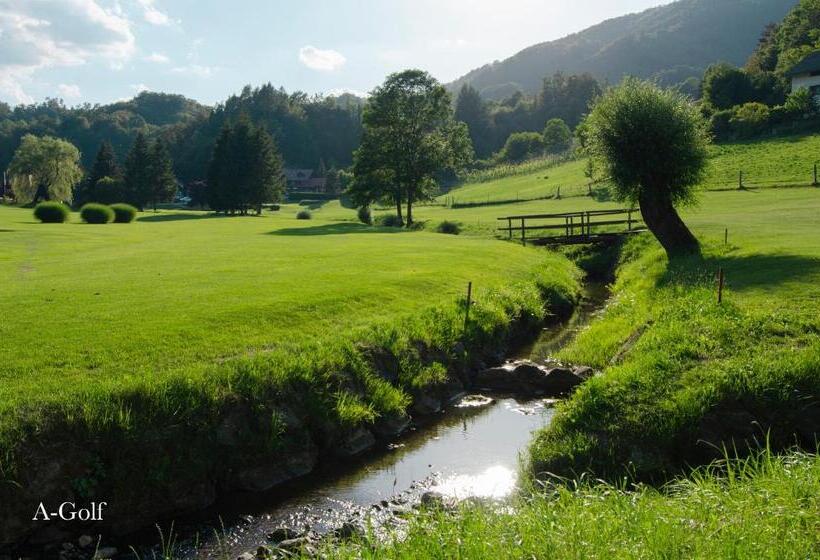 Apartments With Private Saunas & Wellness Gobi