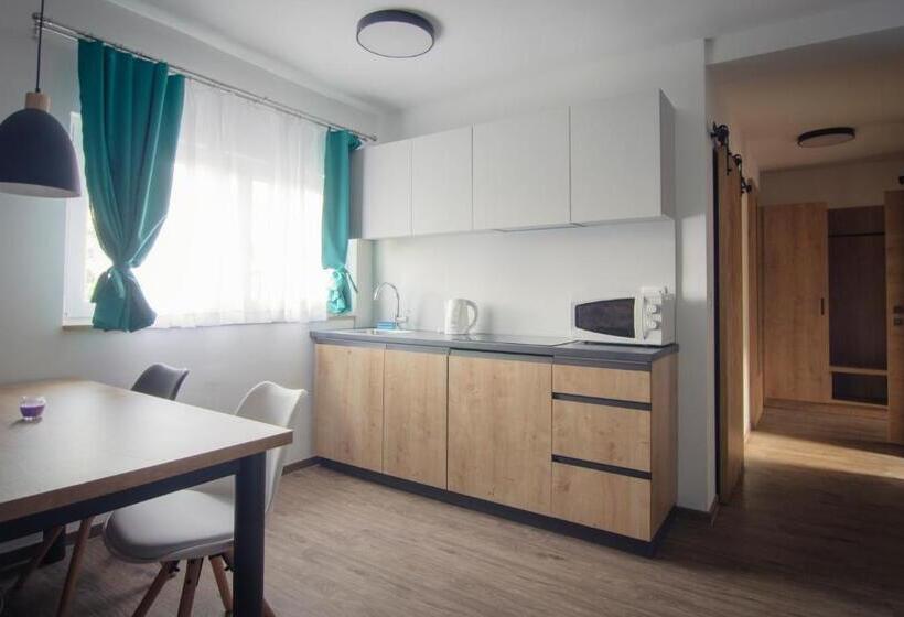 Apartments With Private Saunas & Wellness Gobi