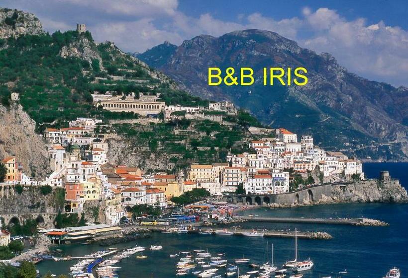 B&b Iris