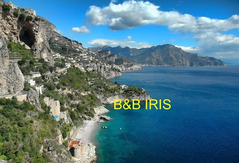 B&b Iris