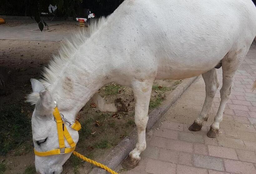 צימר Agriturismo A Do  Cumparone