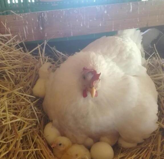 צימר Agriturismo A Do  Cumparone