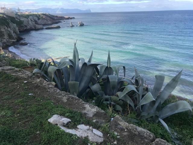 مبيت وإفطار By The Sea