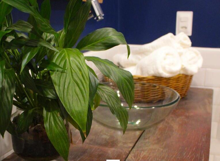 ベッドアンドブレックファースト Casa Piabanha   Centro Histórico