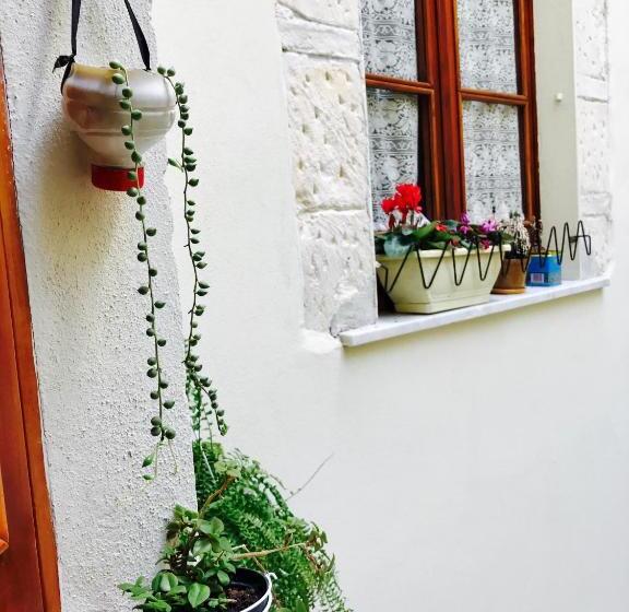 Bed and Breakfast Jacaranda