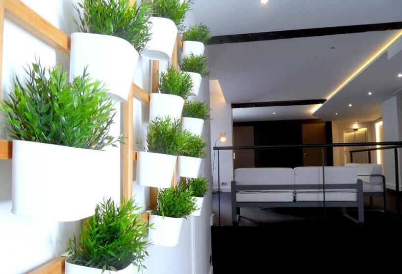 تختخواب و صبحانه Loft Luxe Hyper Centre: Terrasse/piscine/ Salle De Sport