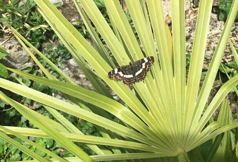 مبيت وإفطار Maisonnette Nantes