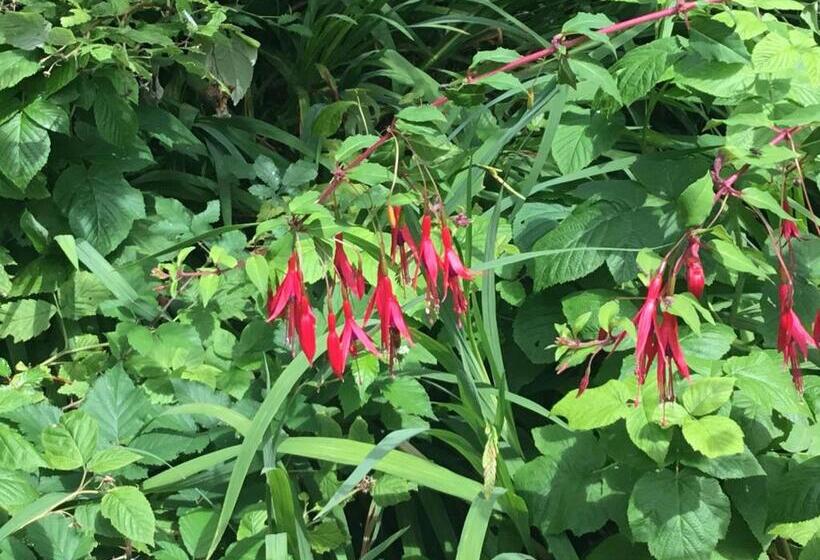 مبيت وإفطار Maisonnette Nantes