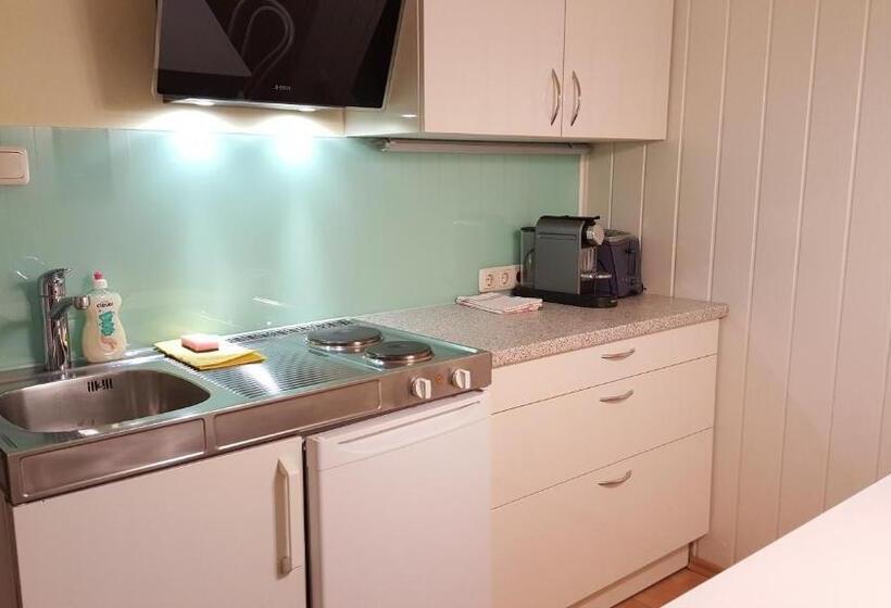 ベッドアンドブレックファースト Pension Elfy