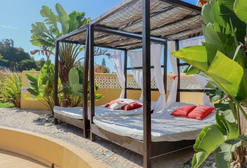 تختخواب و صبحانه Quinta Nova Vale Del Rey