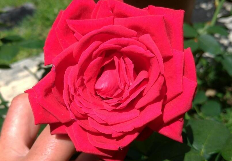 Gemma Di Gallura Charme B&b