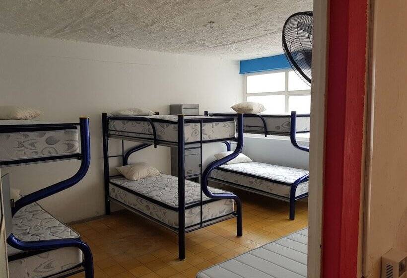 Hostel Vallarta