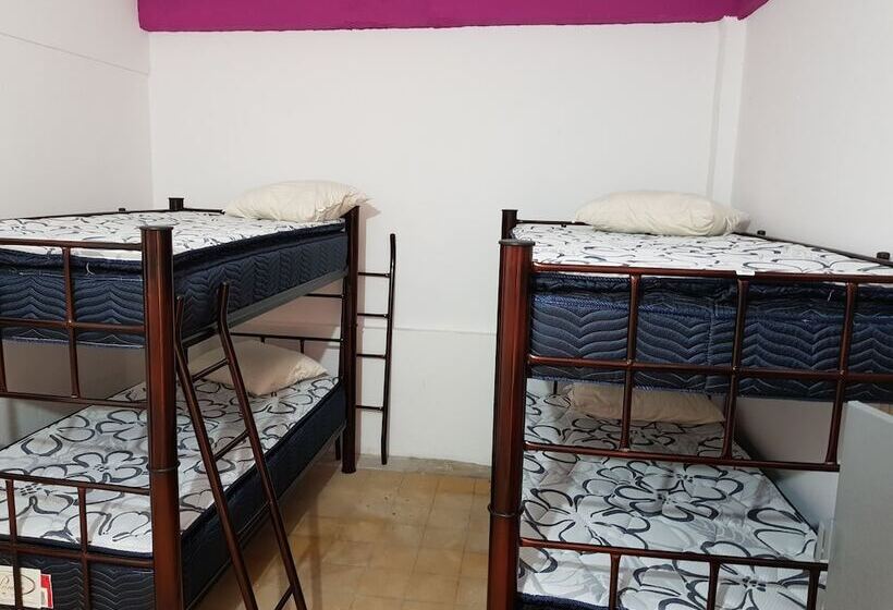 Hostel Vallarta