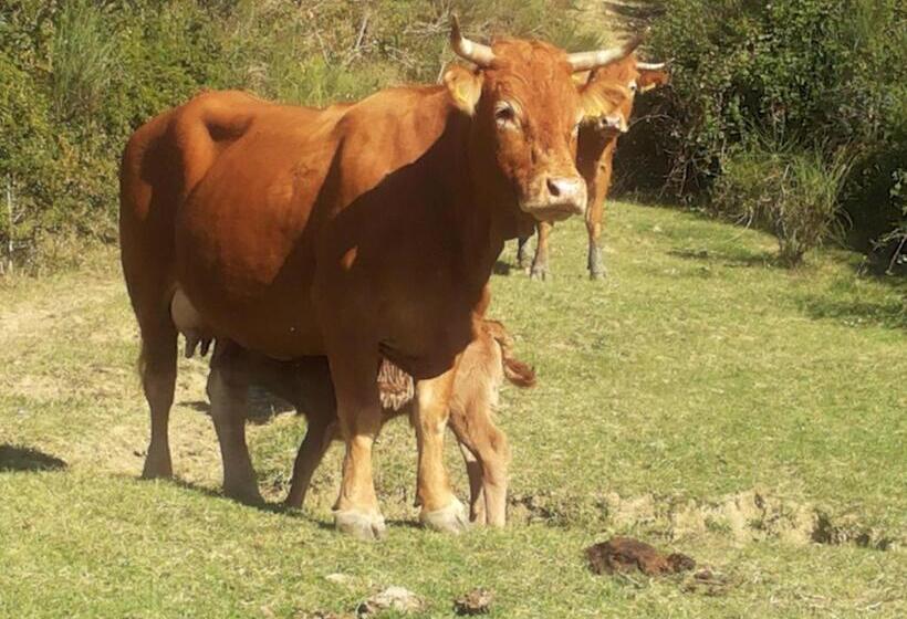 هتل Agriturismo Foglie