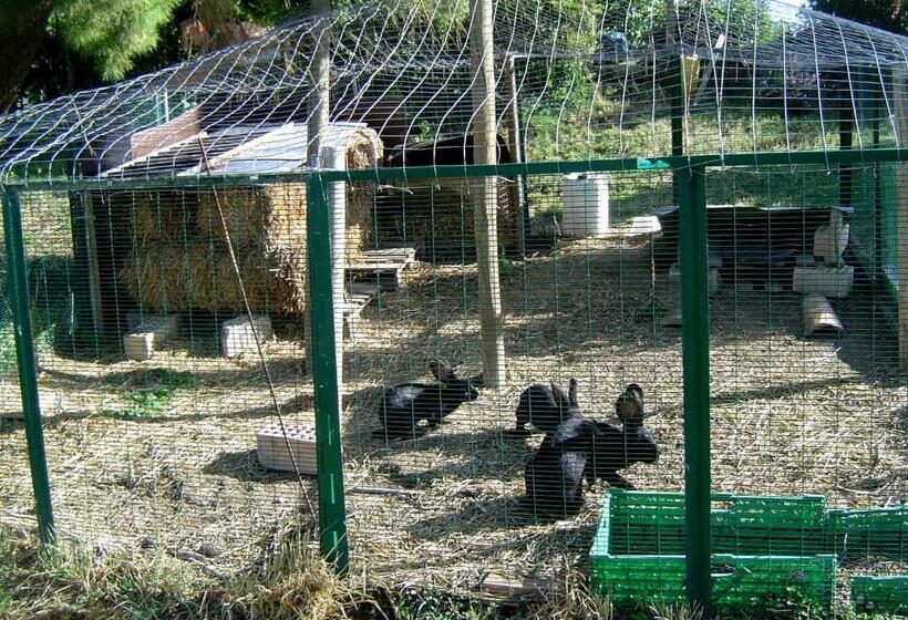 فندق Agriturismo Galanti