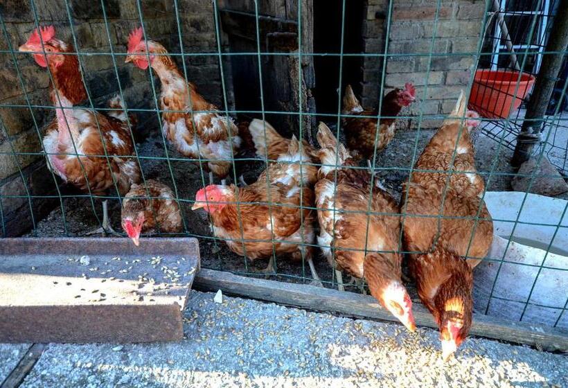 فندق Agriturismo Galanti