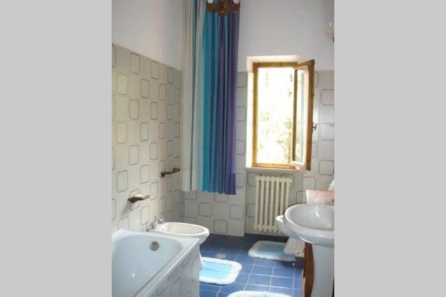 호텔 Agriturismo Il Loghino