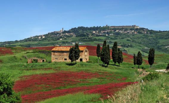 Отель Agriturismo Val Di Sterza