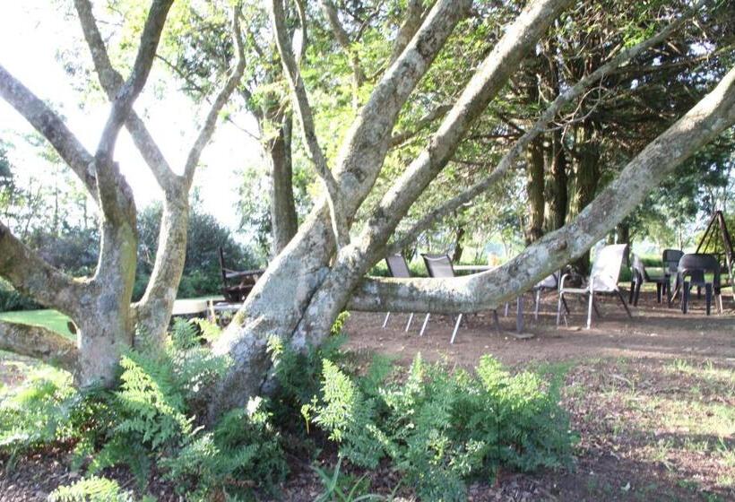 בית מלון כפרי Baldinnie Cottages