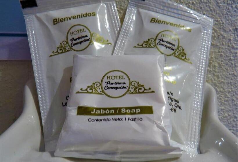 ホテル Purisima Concepción