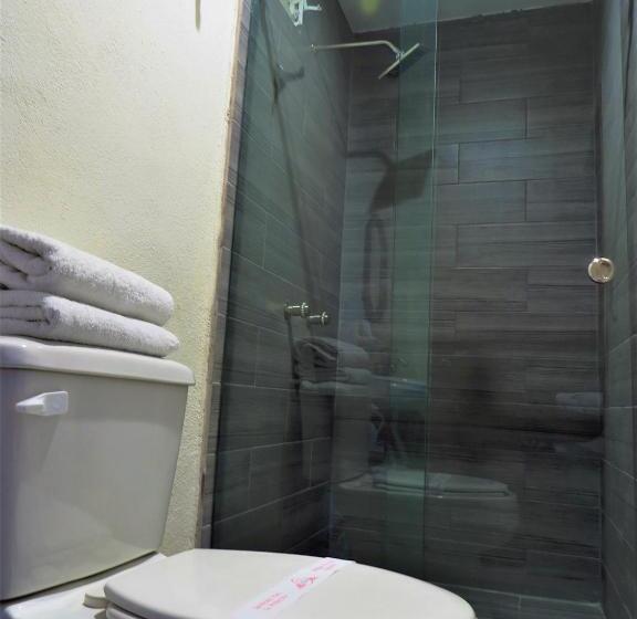 ホテル Purisima Concepción