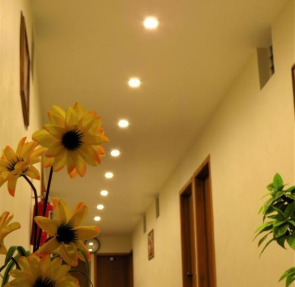 ホテル Purisima Concepción