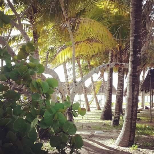 Отель San Felipe De Jesus Yucatan