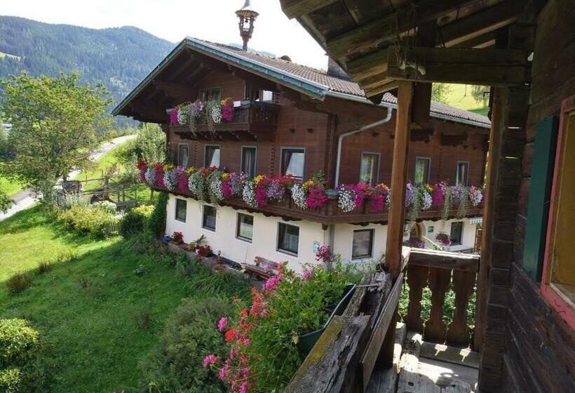 فندق Vordersattlegghof