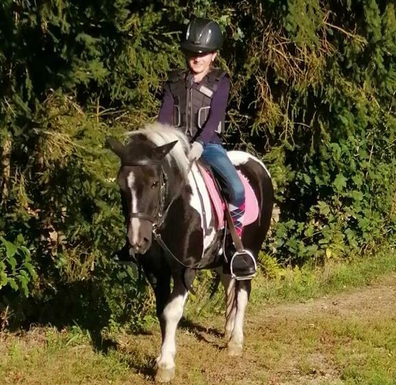 فندق Vordersattlegghof